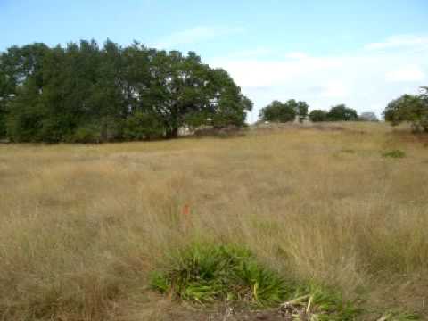 3.68 acres Harper, TX