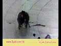الشرطة تحطبط محاولة اعتداء على امام الحرم