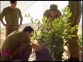 Barak-brigade