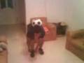 videos de dandy en el fubol