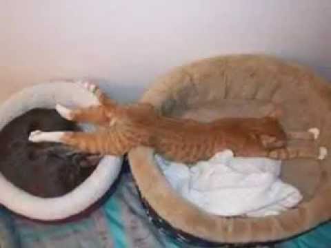 little big town boondocks mp3