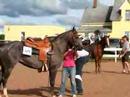Bloomer Race Bloomer Race