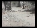 Partida en Barranco seco(Airsoft)