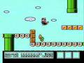 Super Mario 3 Toad Secret White Houses