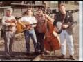 20 years of the Black Irish Band.mpg
