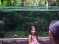 engel ocean park adventure