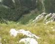 Le Sauvage
