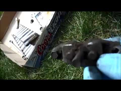 how to adjust brakes on john deere lx172