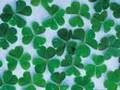 The Good Luck Story by Dr. Eldon Taylor