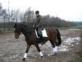 CIMG3448.MOV