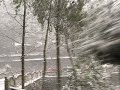 Qingcheng Snow Qingcheng Snow