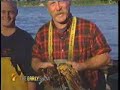 Maine Yellow Lobster Maine Yellow Lobster