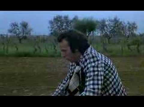 Immagine anteprima YouTube