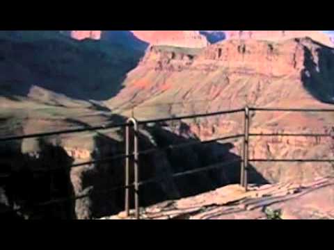 grand national results