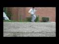 videos de C-Walk [H][V][W]