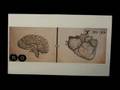 PostSecret - A Valentine Video