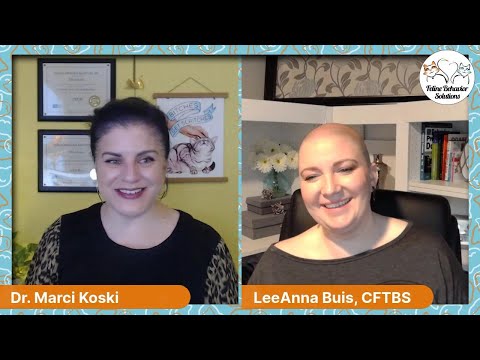What to expect when bringing home a new cat or kitten, with Dr. Marci Koski and LeeAnna Buis
