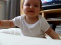 Polisia