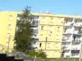 kouba vs milaha