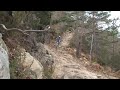 Animal Commencal Testing with Fox Shox Animal Commencal Testing with Fox Shox