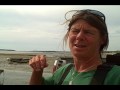 Wellfleet Oysters