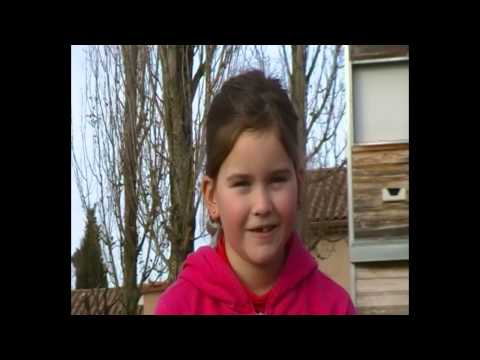 Image de prévisualisation YouTube