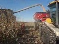 Corn Harvest In Iowa