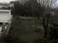 es nieve wacho es nieve yo vi la nieve :o