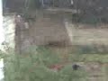 es nieve wacho es nieve yo vi la nieve :o