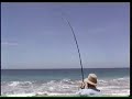 Mexico Surf Roosterfish