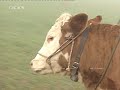 notruf-rtl-plus-1991.html