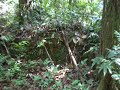 on longe une terrasse tenue par un mur en roche lat�ritique pour acc�der � lescalier monumental de lhabitation la caroline � roura. encore une t�moignage de lhistoire coloniale de la guyane fran�aise. cette habitation a eu jusqu'� 101 esclaves � labolition en 1848. michel favard en �tait le propri�taire.