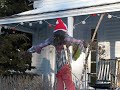 Last scarecrow standing on Cape Cod?