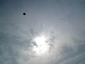 Highest Kick Ever
