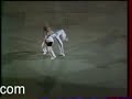 Shuai Jiao & Shou Bo Demo - 1991 Bercy Shuai Jiao & Shou Bo Demo - 1991 Bercy