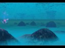 Amor Certinho Leila Pinheiro - Animation by Alvaro Malave