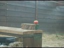 videos de Shooting Apple wiht JHP  Tanfoglio 9x21 P21L