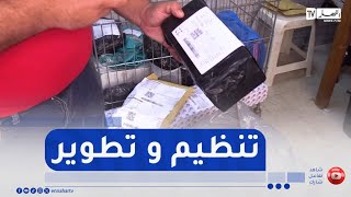 دخول دفتر نشاط البريد السريع حيز الخدمة..خطوة نحو تنظيم وعصرنة القطاع