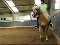 Training video Training video