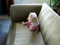 Kayla Couch Tater NOT