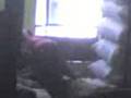 videos de caida monc