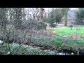 HTC One X full HD video, buiten
