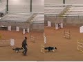 Voucher and Nyx in a run off