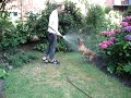 Sommer 2006 im Garten