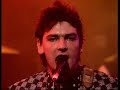 Robyn Hitchcock and The Egyptians - Brenda\