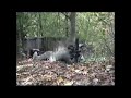 Bunker 24 12.10.2008