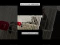 2019/7/23 その8【共同生活9日目】#保護猫 #猫