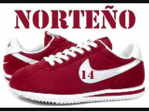 nortenos 14