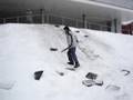 Bing-Trip-Ice-Slide