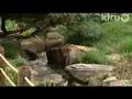 Nimitz Garden of Peace: Central Texas Gardener